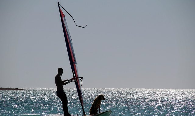 Sport con il cane